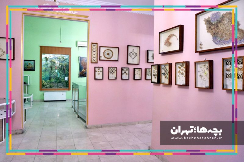 موزه حیات وحش هفت چنار