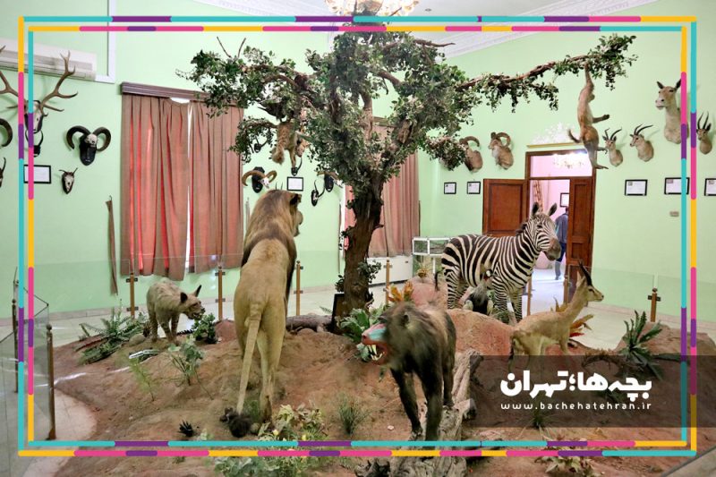 موزه حیات وحش هفت چنار