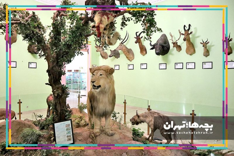 موزه حیات وحش هفت چنار