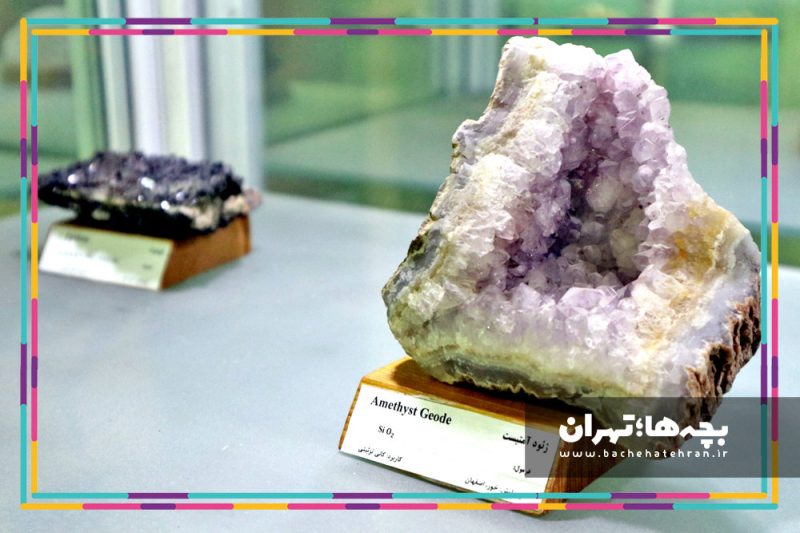 موزه حیات وحش هفت چنار