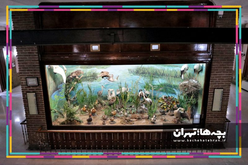 موزه حیات وحش هفت چنار