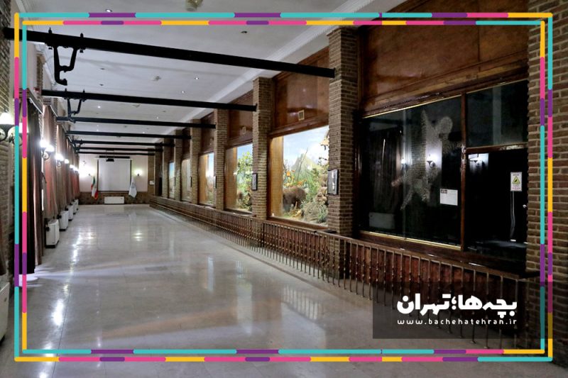 موزه حیات وحش هفت چنار
