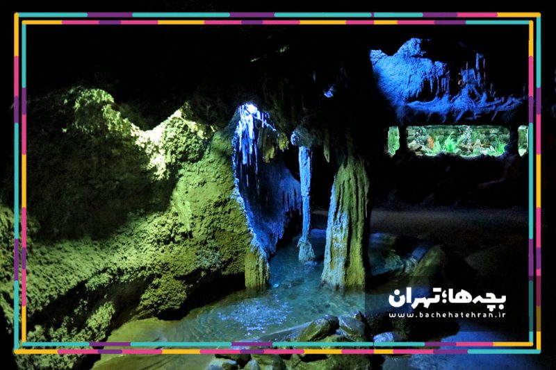 موزه حیات وحش هفت چنار