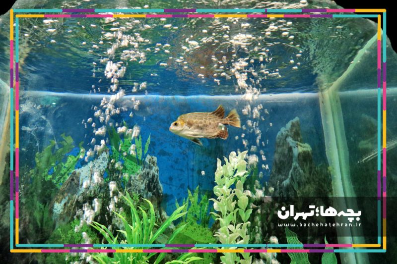 موزه حیات وحش هفت چنار