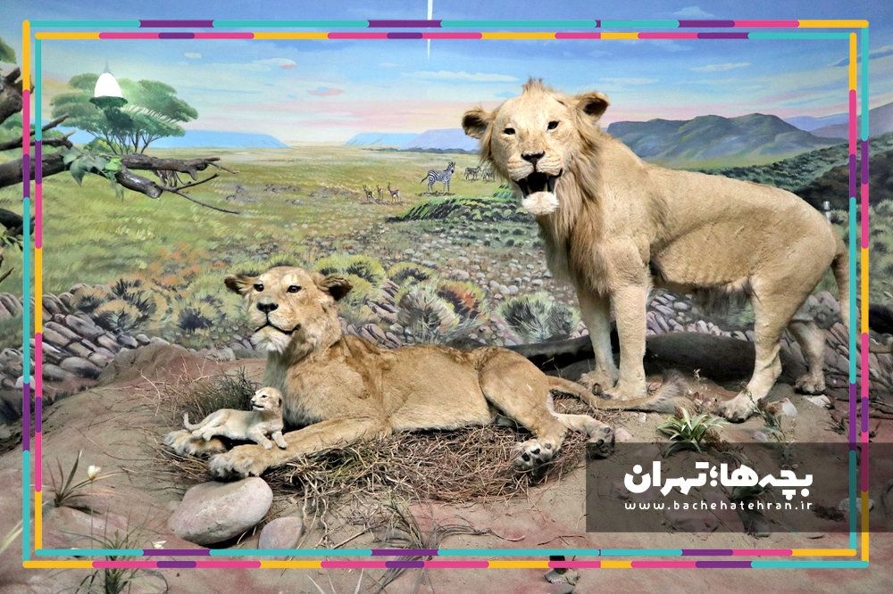 موزه حیات وحش هفت چنار
