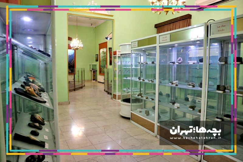موزه حیات وحش هفت چنار