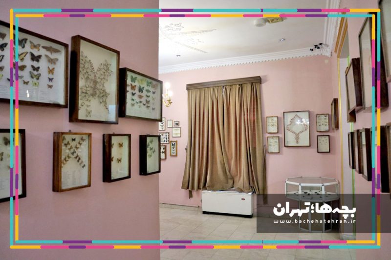 موزه حیات وحش هفت چنار