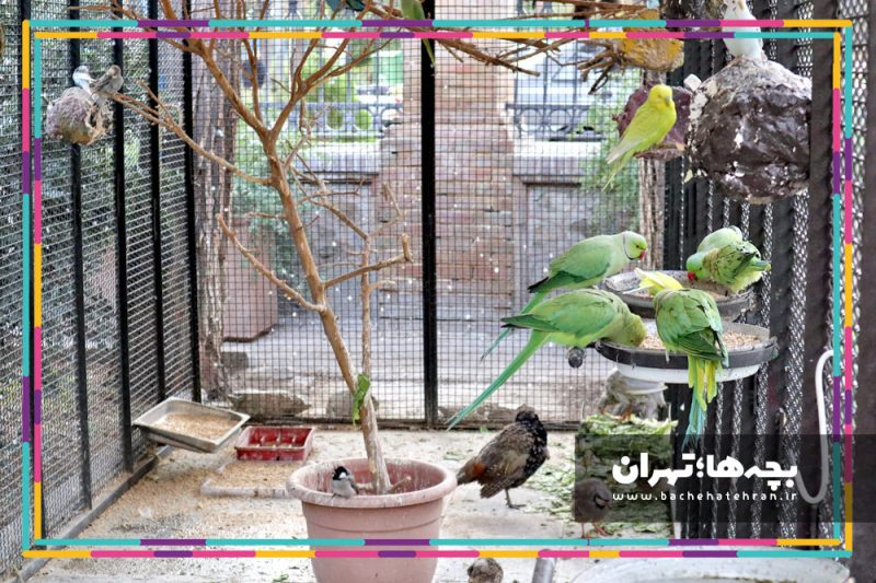 موزه حیات وحش هفت چنار