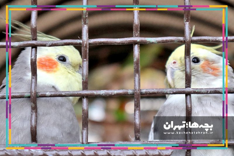 موزه حیات وحش هفت چنار