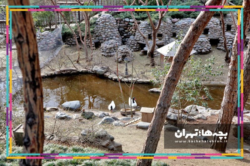 باغ پرندگان تهران