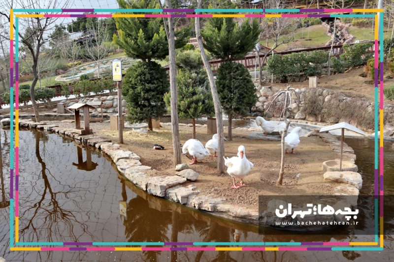 باغ پرندگان تهران