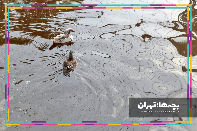 باغ پرندگان تهران