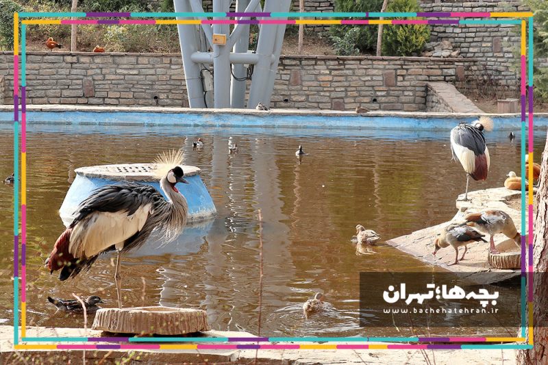 باغ پرندگان تهران
