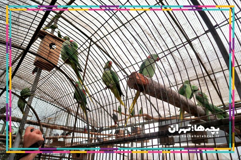 باغ پرندگان تهران