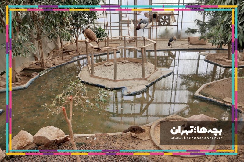 باغ پرندگان تهران
