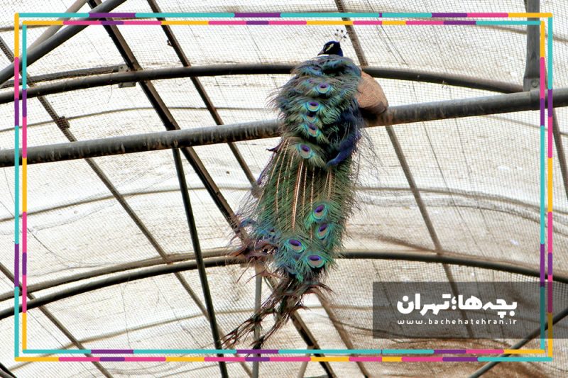 باغ پرندگان تهران