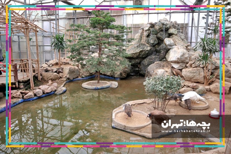 باغ پرندگان تهران