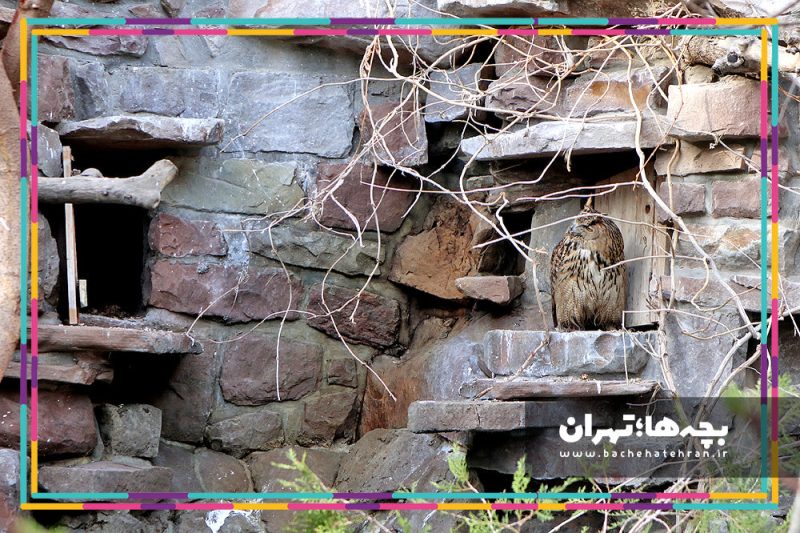 باغ پرندگان تهران