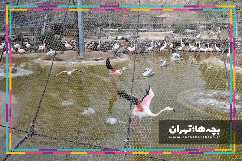 باغ پرندگان تهران