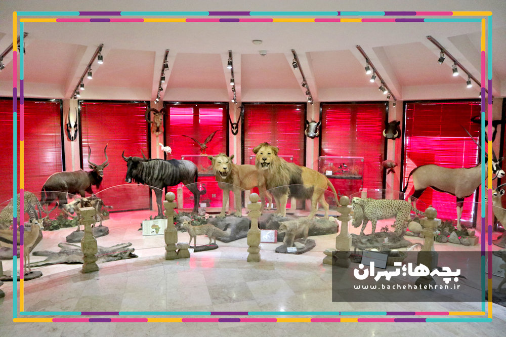 موزه حیات وحش دارآباد