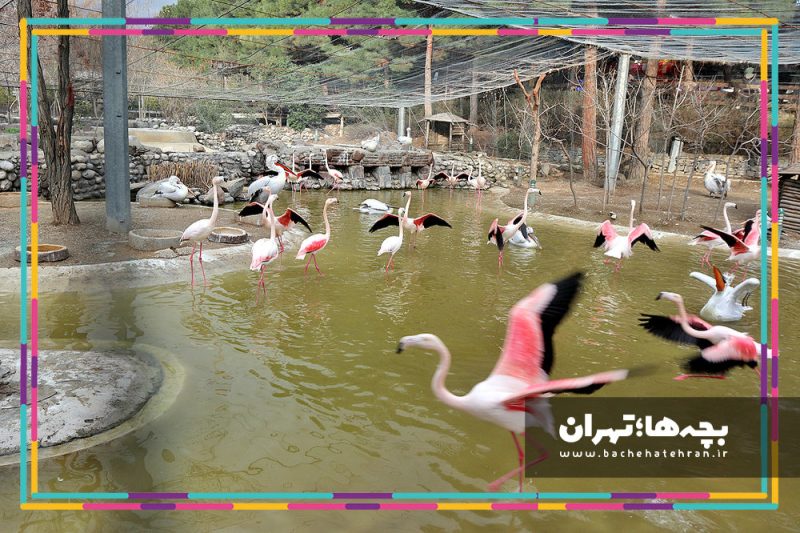 باغ پرندگان تهران