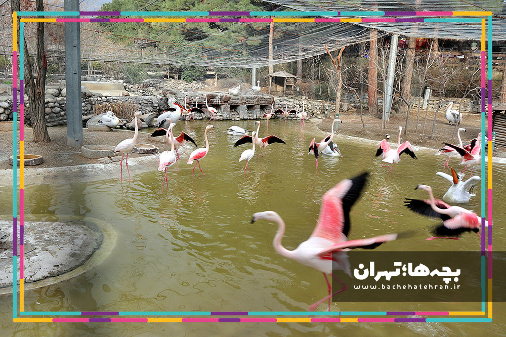 باغ پرندگان تهران