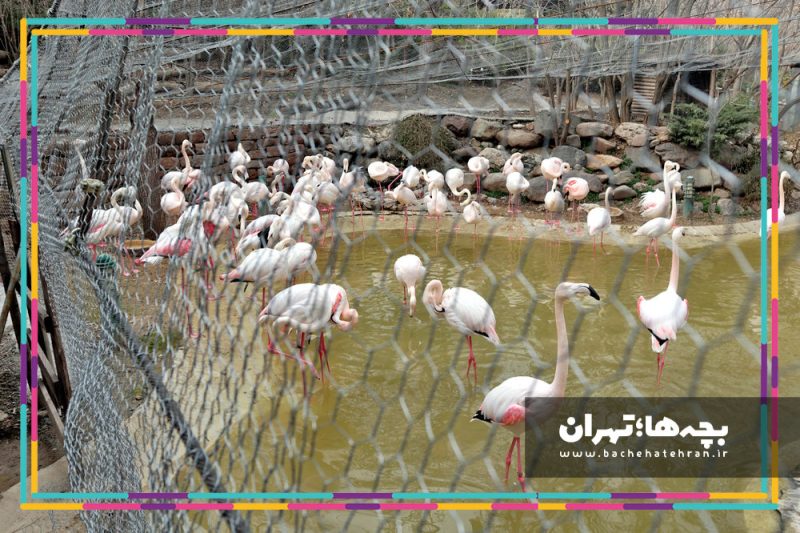 باغ پرندگان تهران