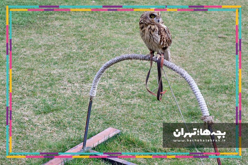 باغ پرندگان تهران