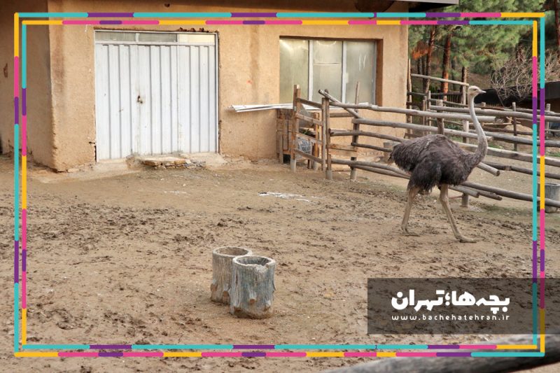 باغ پرندگان تهران