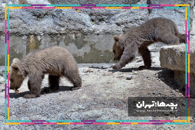 باغ وحش پارک ارم