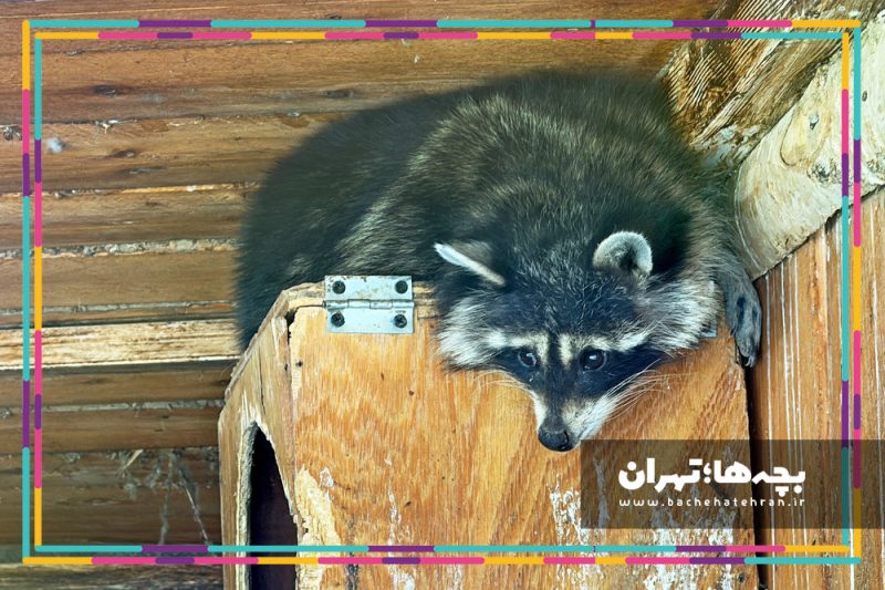باغ وحش پارک ارم