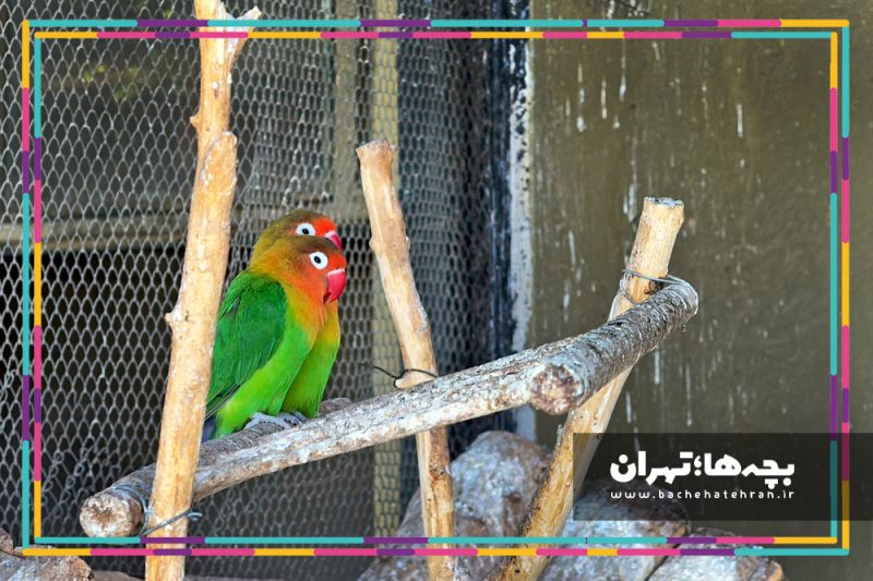 باغ وحش پارک ارم