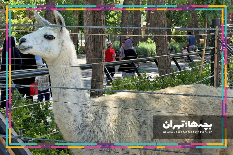 باغ وحش پارک ارم