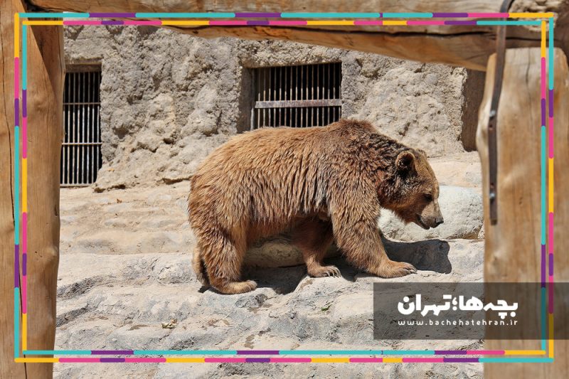 باغ وحش پارک ارم