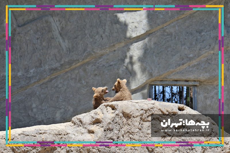 باغ وحش پارک ارم