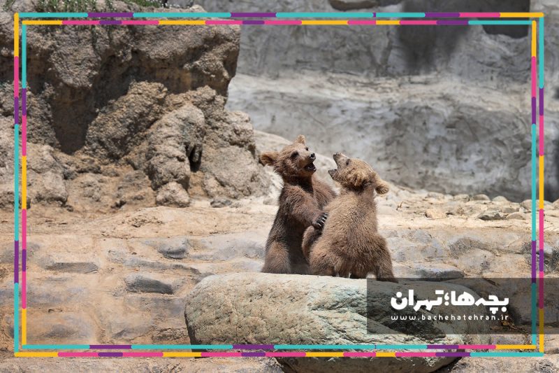 باغ وحش پارک ارم