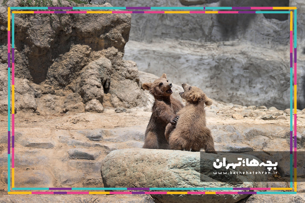 باغ وحش ارم